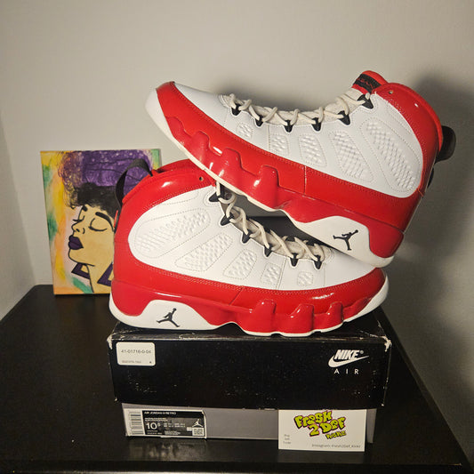 Size 10.5 Men - Gym Red Jordan 9's