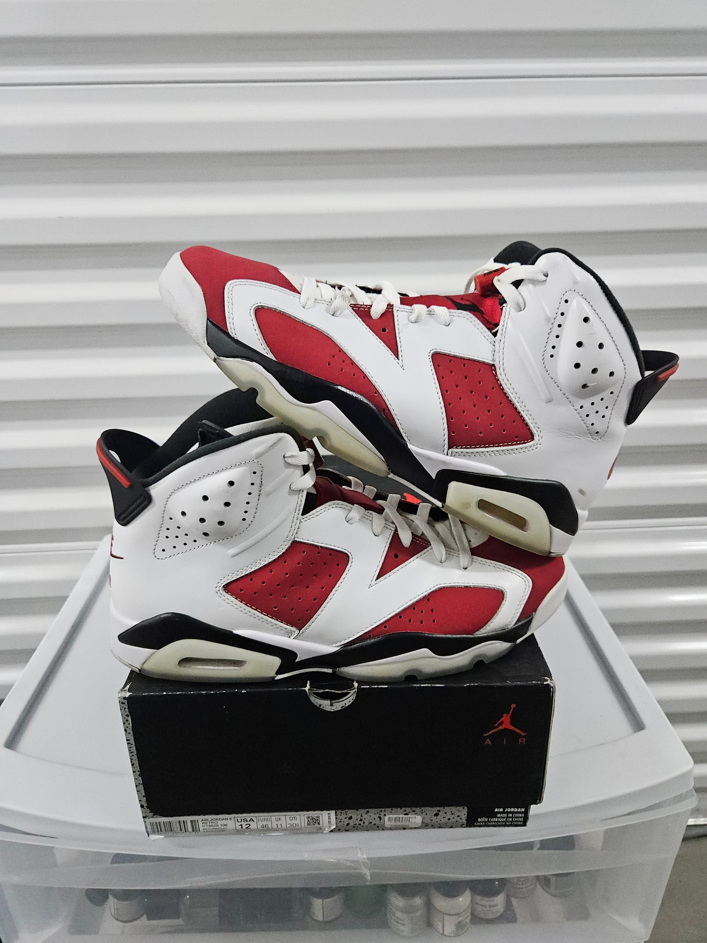 Size 12 - Carmine Jordan 6's