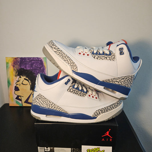 Size 9.5 - 2016 True Blue Jordan 3's - $220